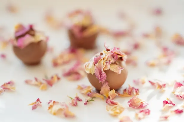 Fever Slots Kasino Android/iOS Sovellus